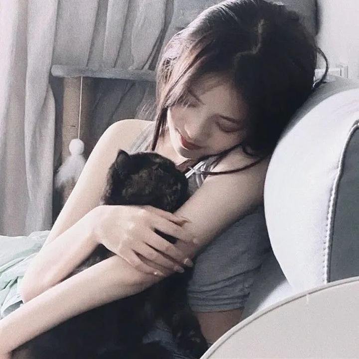迷蝶